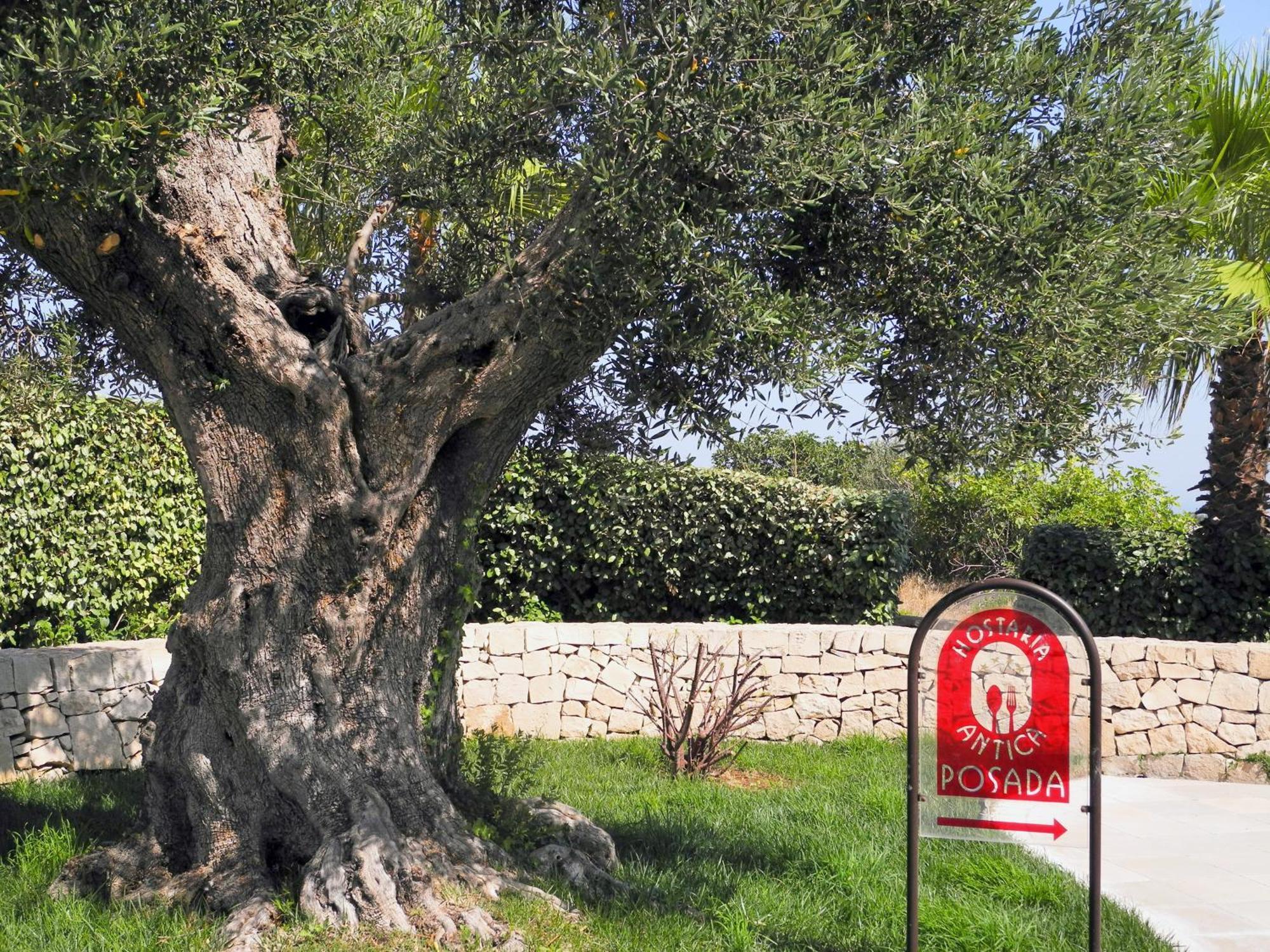 Hotel Relais Sant'Eligio Ostuni Exterior foto